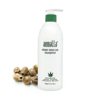 Oil shampoo