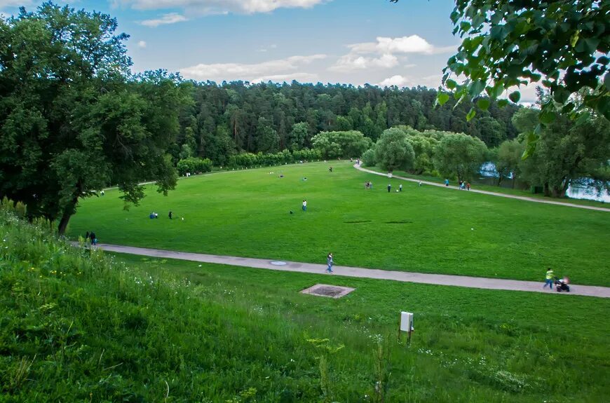 Парк дубровицы подольск. Фестиваль славянское подворье подольск. Деревня валищево славянский кремль. Жарково поле подольск. Подольское поле.