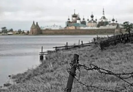Слон соловецкий лагерь особого