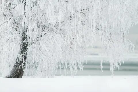 Вода белый зима