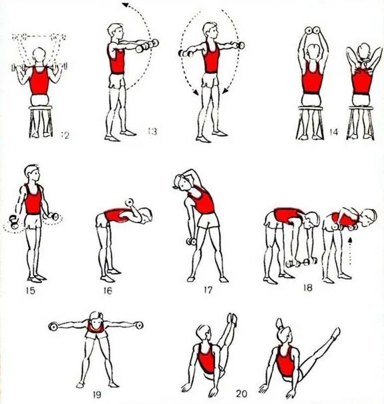 Комплекс любых упражнений. Комплекс упражнений с гантелями (10-12 упражнений). Упражнения с гантелями 2 кг для мужчин. Занятия с гантелями для мышц. Упражнения с гантелями 10 кг.