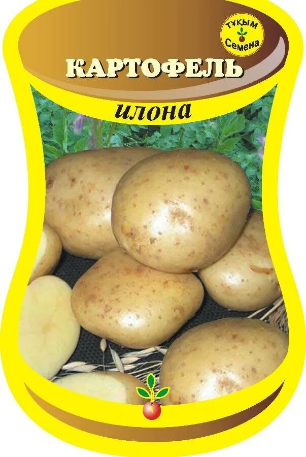 Триумф картофель характеристика отзывы. Картофель Триумф.