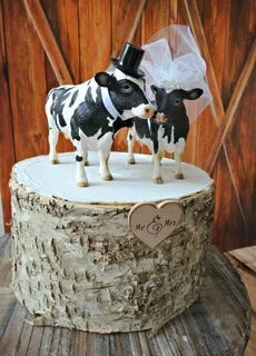 Cowgirl farm