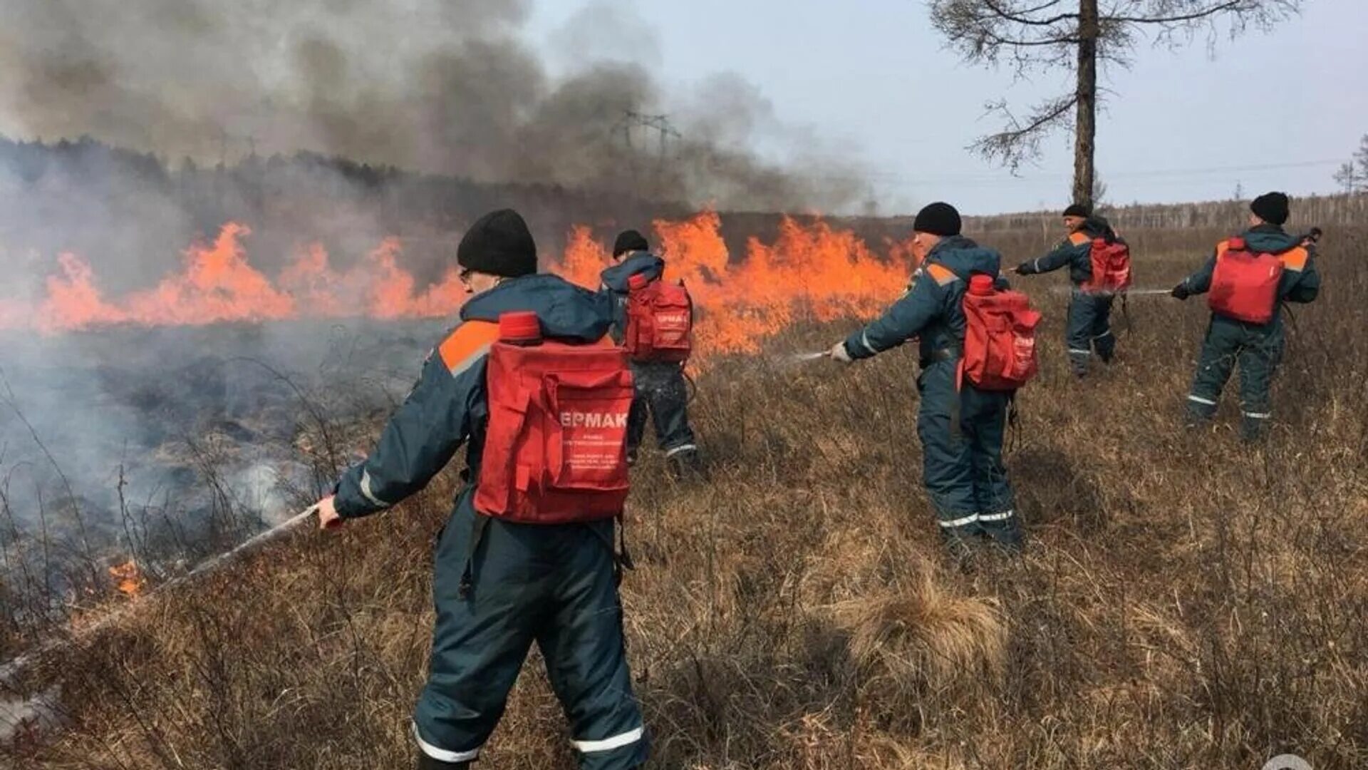 Сильные пожары в россии. Тушение лесных пожаров. Тушение пожара в лесу. Лесные пожары МЧС. Тушение лесных пожаров МЧС.