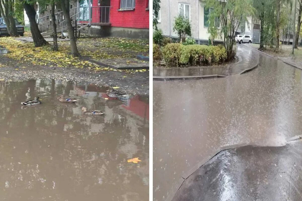 осадки 4 октября