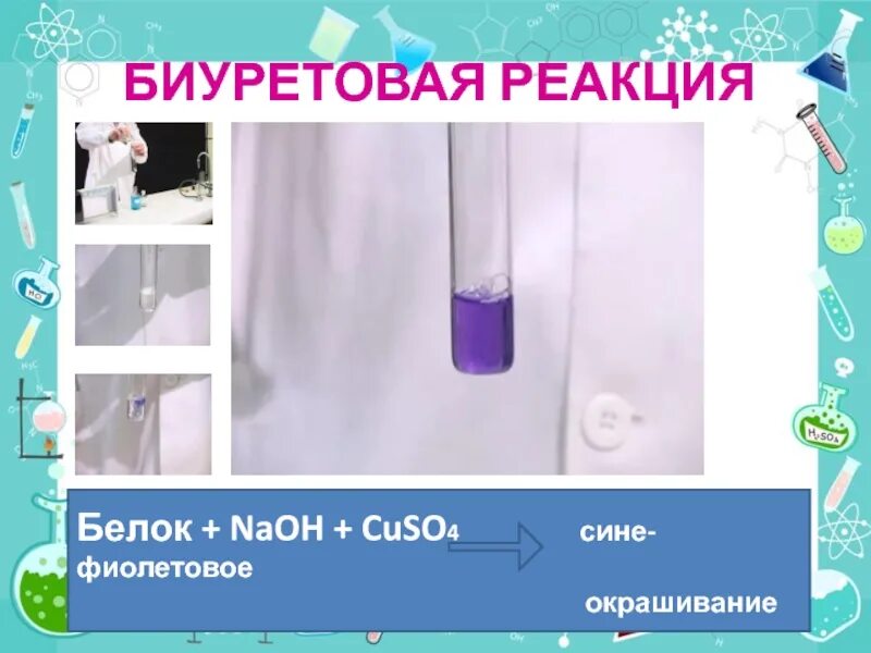 Cuso4 naoh продукты реакции. Белок NAOH cuso4. Яичный белок+NAOH+cuso4. Белок cuso4 реакция. Биуретовая реакция белков с cuso4.