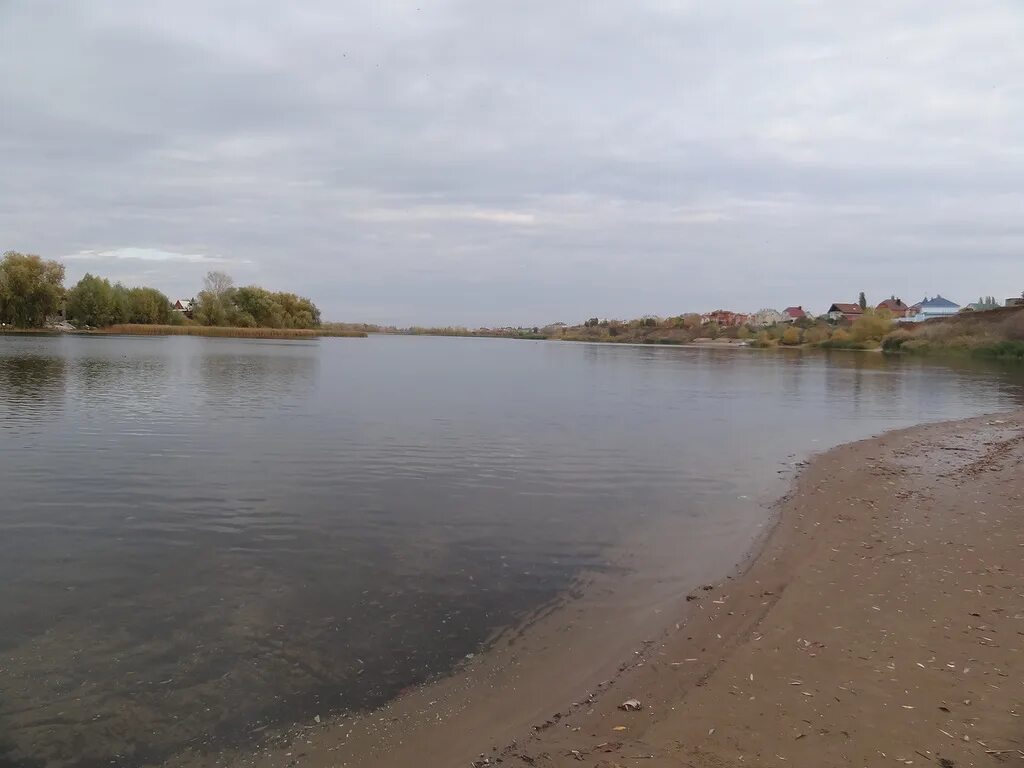 Река Саратовка Энгельс. Саратовка Алтайский край. Река Саратовка Энгельс рыбалка. Река Саратовка фото.