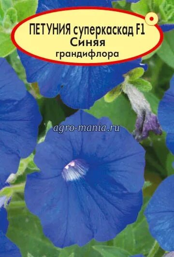 Семена Суперкаскад голубая. Петуния Ниагара синяя f1 Суперкаскад. 10 Шт. ЦС. Грандифлора Суперкаскад Блю. Петуния грандифлора Суперкаскад Роуз поиск агрохолдинг. Сайт планета семян волгоград