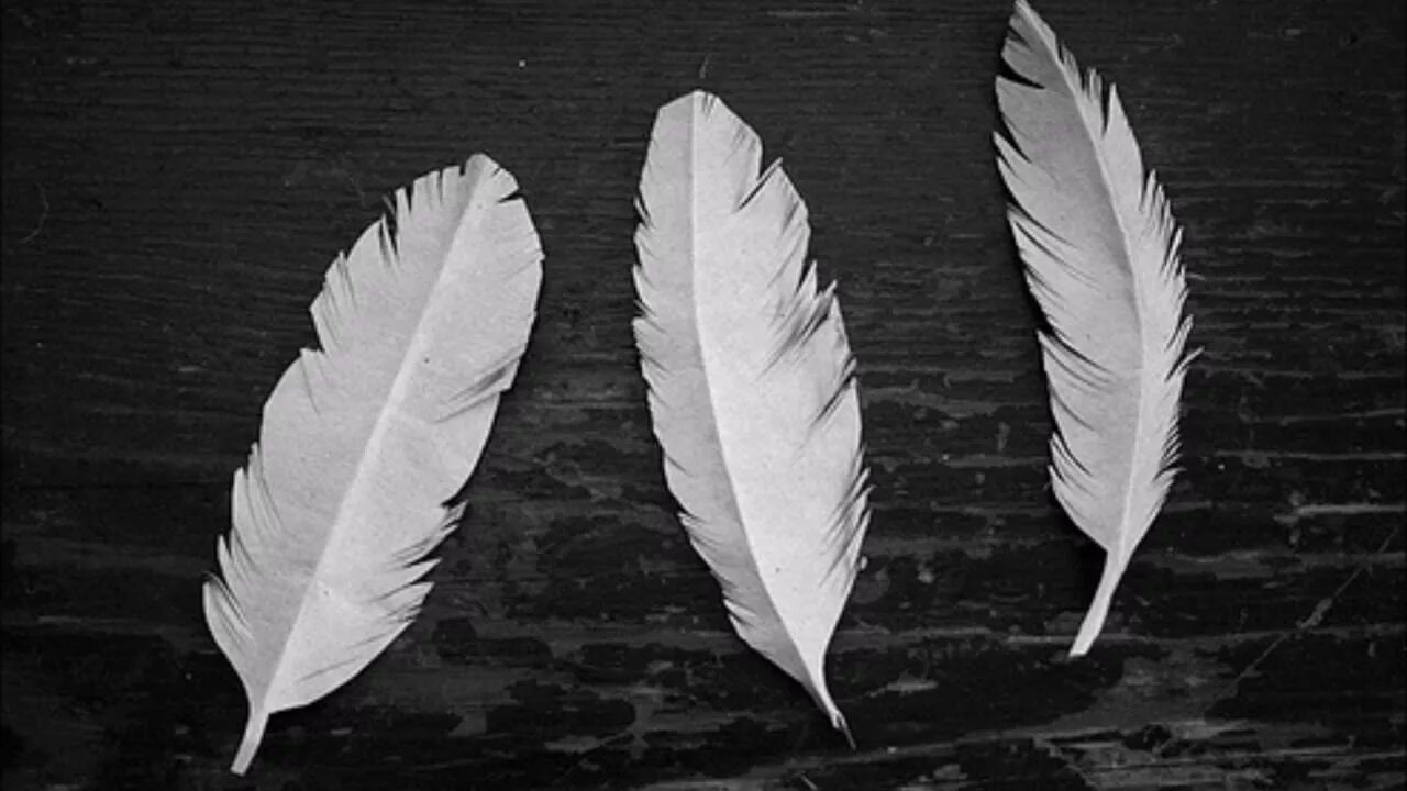 перо бумажной птицы. поделки из перьев. перо для письма. перо из картона. птица из бумаги с перьями.
