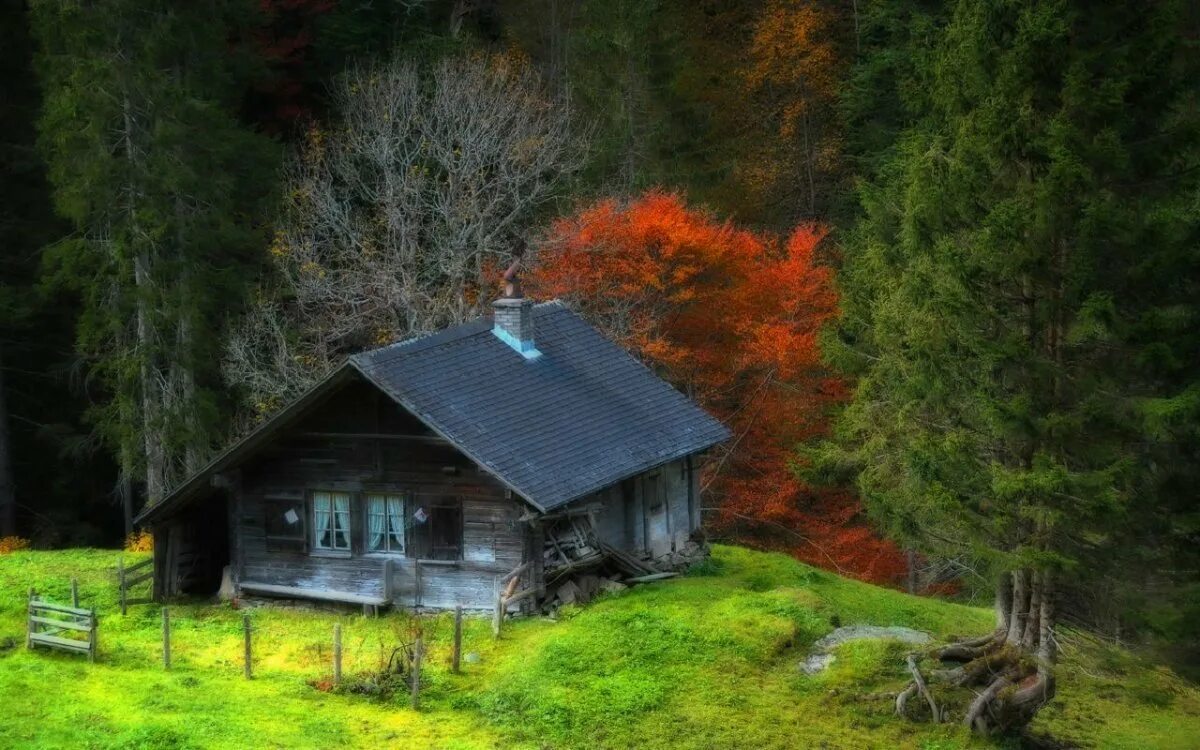 Дома видео на природе. Друскининкай лес избушка. Forest House Хижина в лесу. Боровецкий лес дом отшельника. Хаттфьелльдал Норвегия избушка.