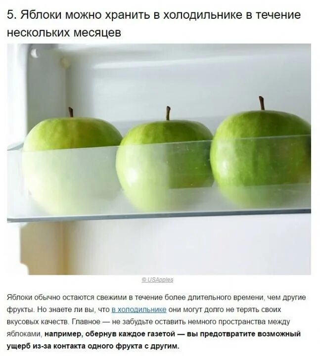 Сколько яблок в холодильнике. Холодильник для хранения яблок. Яблоки в холодильнике. Яблоки в холодильнике хранятся. Можно хранить яблоки в холодильнике.