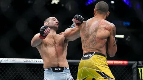 Alex pereira ufc