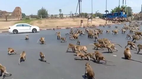 Нападав много