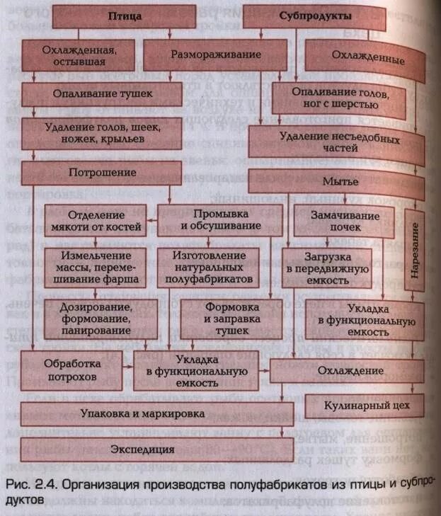 Этапы механической обработки замороженной птицы. Схема обработки субпродуктов. Оборудование для приготовления полуфабрикатов. Обработка субпродуктов птицы. Организация производства полуфабрикатов.