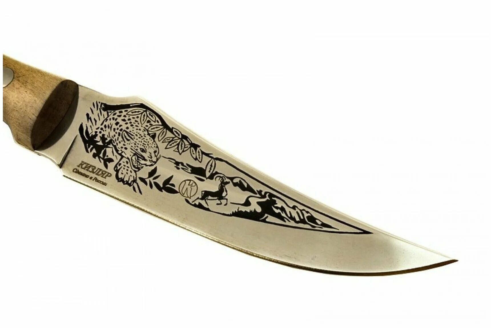 Нож клык златоуст. Обереги из клыков кабарги. Клык прайс. Кизлярский нож клык 2. Клык моржа.