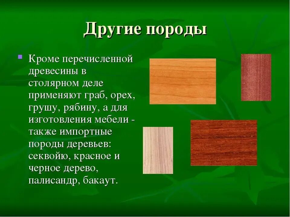 Перечислите породы деревьев. Породы древесины. презентация на тему древесина. лиственные породы древесины. перечислите породы древесины.