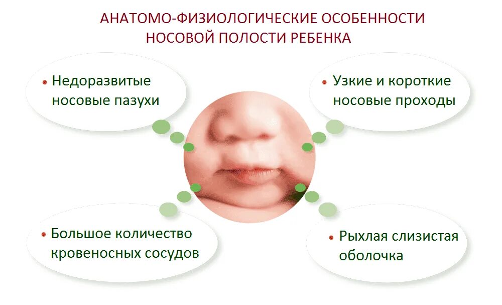 Сколько дней сопли у ребенка. Строение носовой полости у грудничка. Особенности строения полости носа новорожденного. Анатомо-физиологические особенности полости носа у детей. Строение ноздри у ребенка.