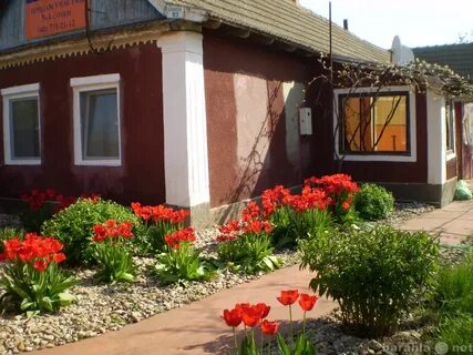Дом село одесское