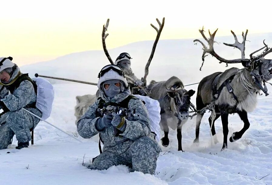 Военный северный