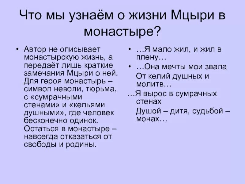 Что понимает мцыри