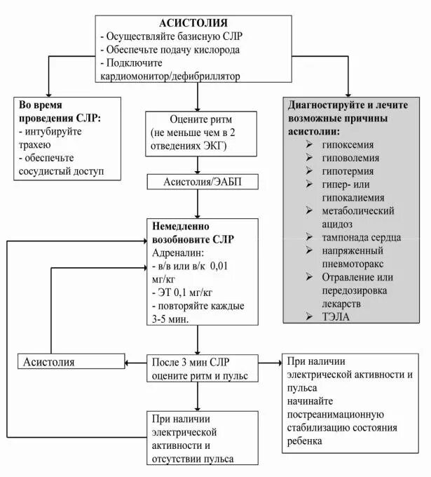 Алгоритм действий при сердечно легочной реанимации. Алгоритм проведения СЛР при асистолии. Неотложная помощь при асистолии алгоритм. Протокол реанимации при асистолии. Сердечно-легочная реанимация при асистолии.