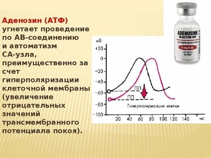 Лекарство атф. АТФ аденозин. Аденозин при аритмиях. АТФ антиаритмический эффект. АТФ аритмия.