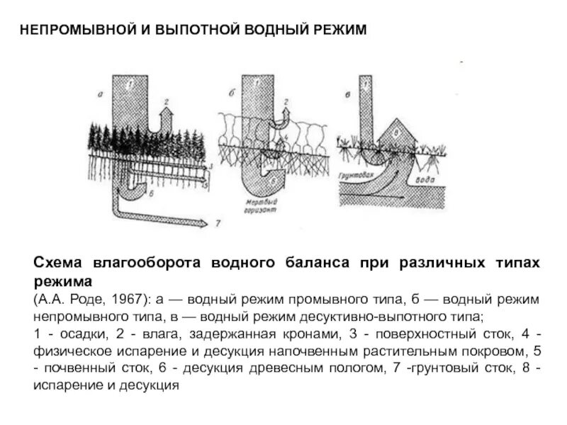 Непромывной тип водного режима почв. Схема промывного, непромывного и выпотного типов водного режима. выпотной режим почв это. выпотной тип водного режима почв.