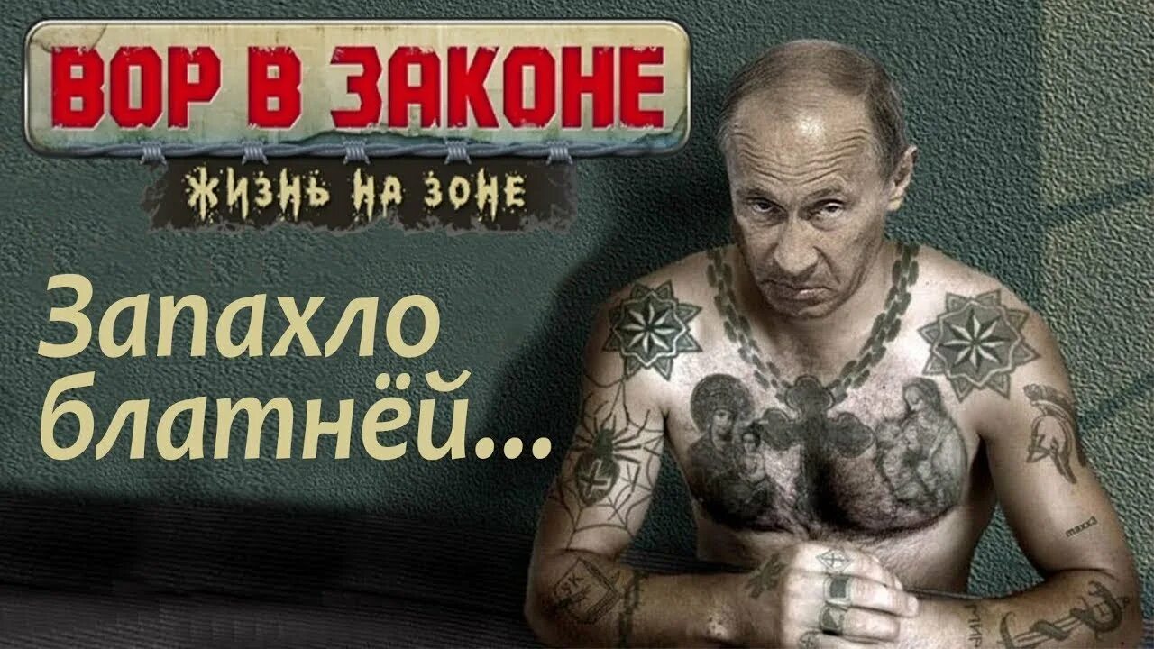 Гребень на зоне. Гребень на зоне