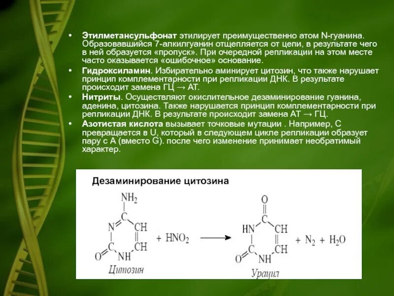 В результате ее образуется