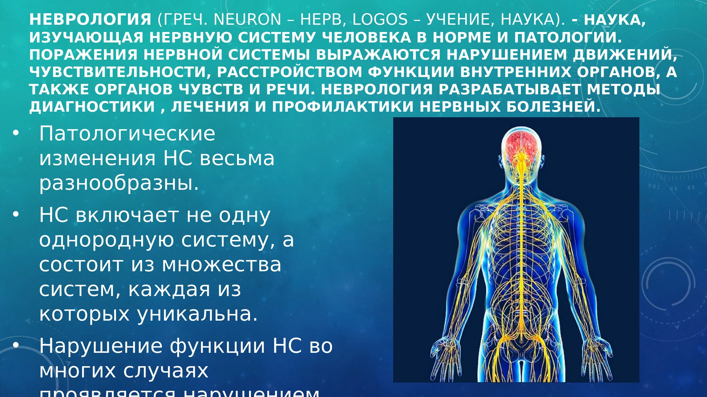 Нервная система человека память. Нервная система человека. Нервная система органы и функции. Нервная система нервы. Заболевания нервной системы человека.