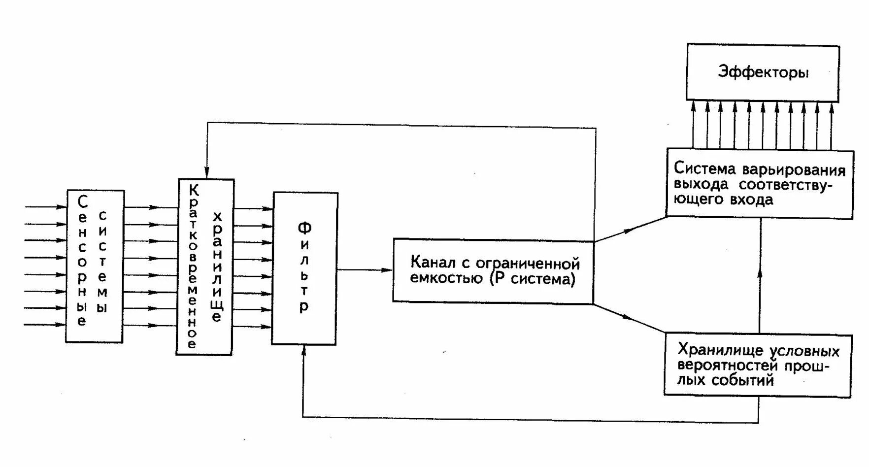 модели селекции. экспериментальные исследования и модель аттенюатора э. бродбента. цели и задачи селекции. теоретические модели внимания.