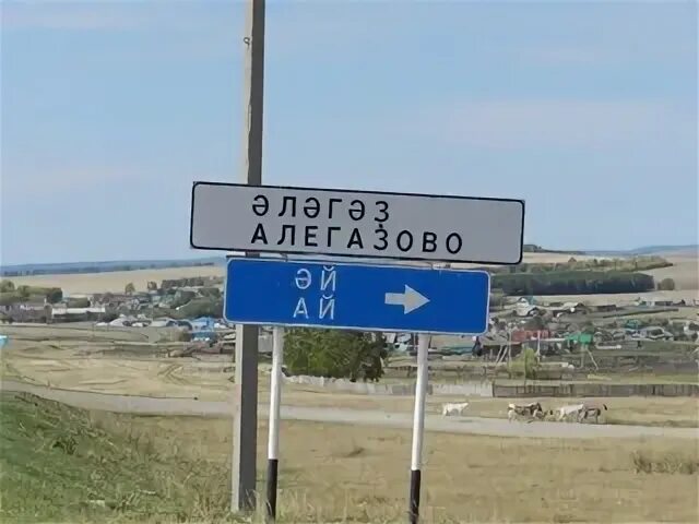 Погода в алегазово мечетлинский на 10 дней. Алегазовский сельсовет. Мобу сош бг алегазово. Жители села алегазово. Алегазово фото.