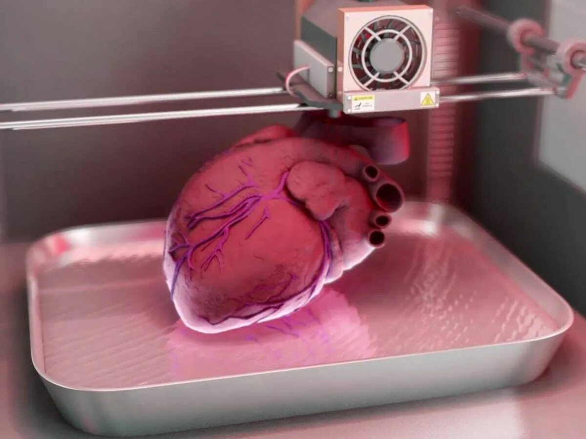 Печатать органы. 3d принтер биопринтер. 3д печать человеческих органов. Органы на 3д принтере.
