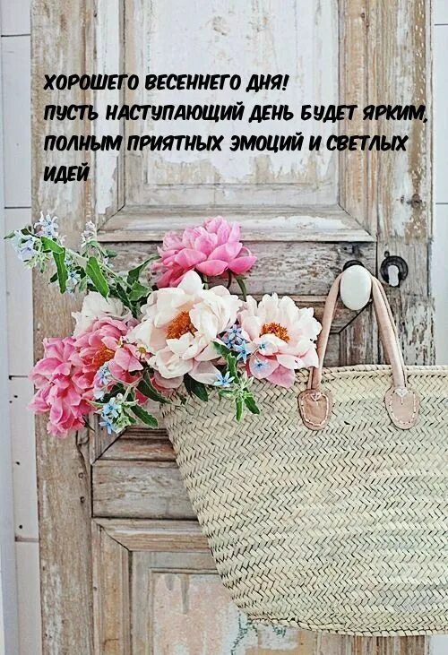 Пусть в жизни все сложится хорошо. Пусть этот день. Пусть день сложится. Маленькие радости каждый день. Маленьких радостей каждый день.