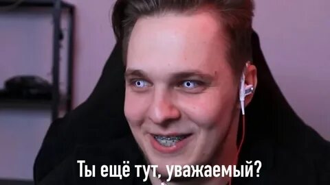 Тима блоггер
