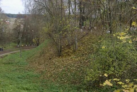 Погода московская верея