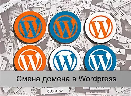 Wordpress на другой домен. Смена домена сайта.