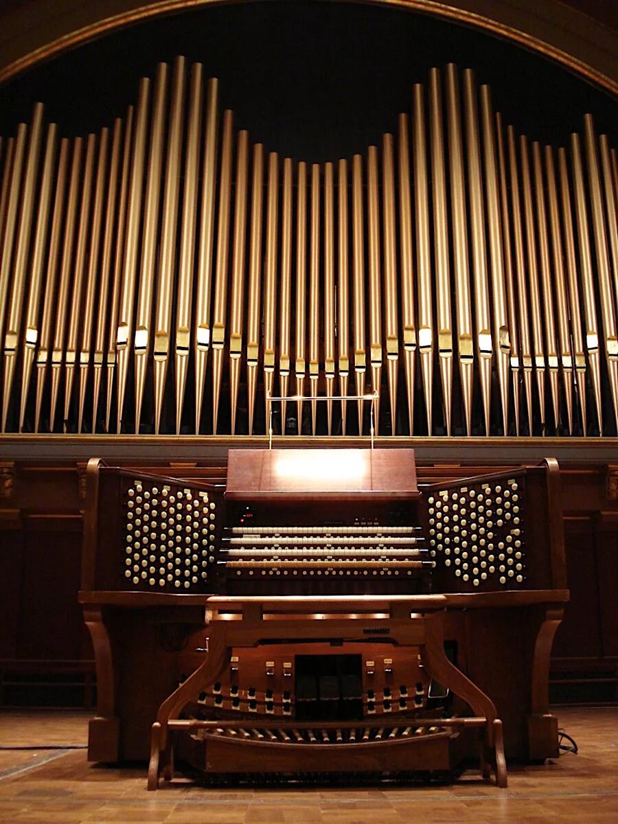 Organ. Орган концертного зала Бордуок. Органный клавишный духовой музыкальный инструмент. Орган музыкальный инструмент известные органисты. Орган Вики.