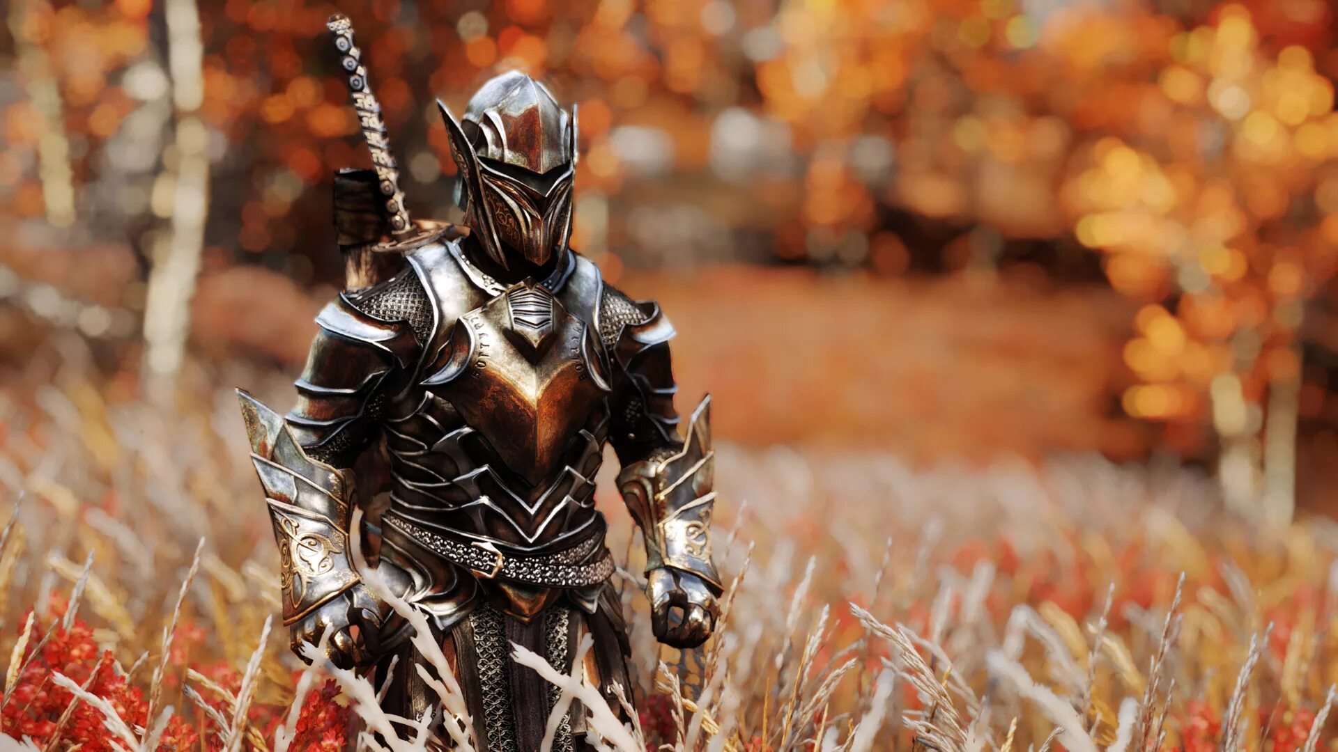 Knight c
