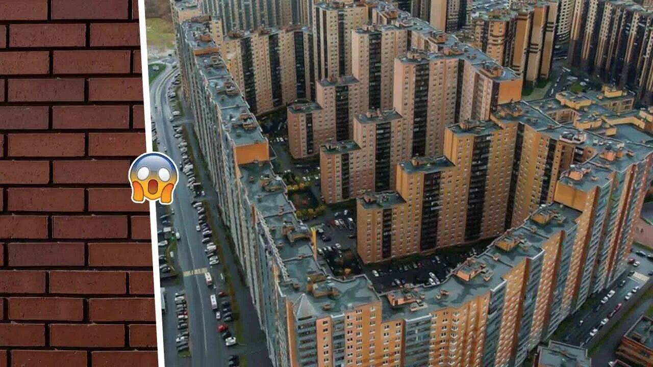Самый большой человейник. Кудрово новый оккервиль. Самый большой человейник. Человейники мурино кудрово. Человейник в китае.