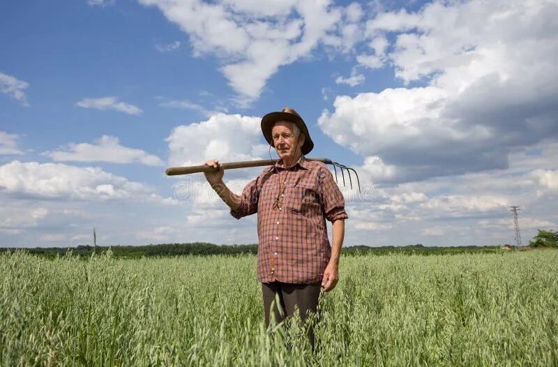 Земледелие крестьян в 19 веке. Крестьянский обед в поле. Жан-франсуа милле анжелюс. Адриан моро картины. 1871 маковский.