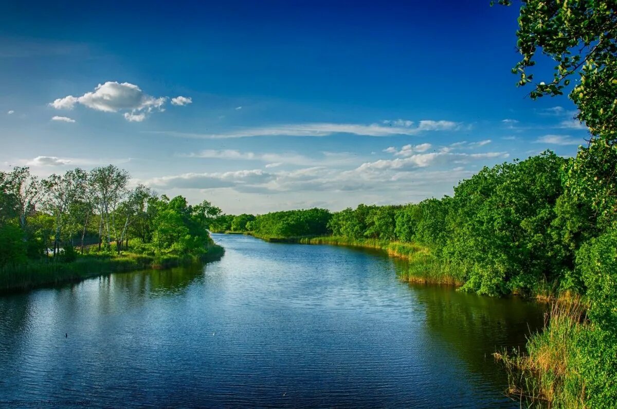 Волга река Самарка. Река сок Самара. Природа Самара река Самарка. Самара (приток Волги). Красивые картинки реки