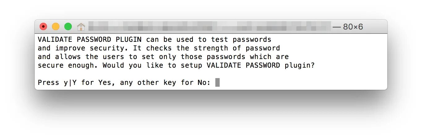 Password plugin