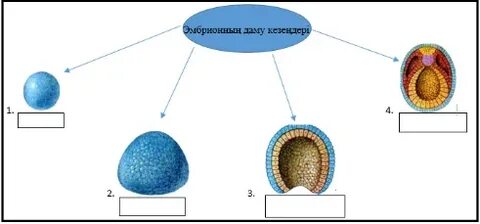 Клиторды жалап жатқан фотосуреттер
