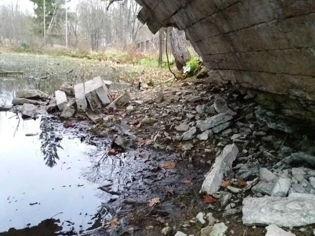 Погода в тайцах на 10. Горбатый мост Тайцы. Выемка от снаряда около горбатого моста в усадьбе Кузьминки. Погода в Тайцах Ленинградской области на сегодня. Погода сегодня в Тайцах.