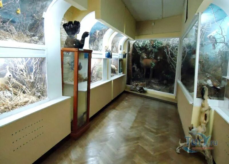 Краеведческий музей ул протапова 1 фото Панорама: Орловский краеведческий музей, музей, Гостиная ул., 2, Орёл Яндекс К