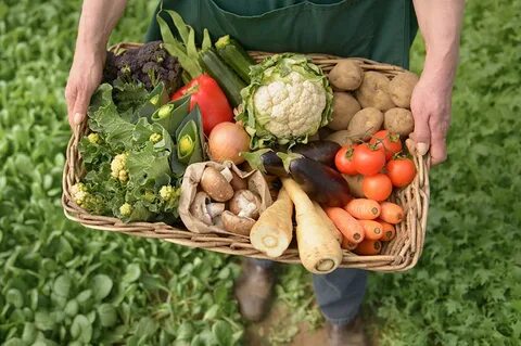 Farmer vegetables