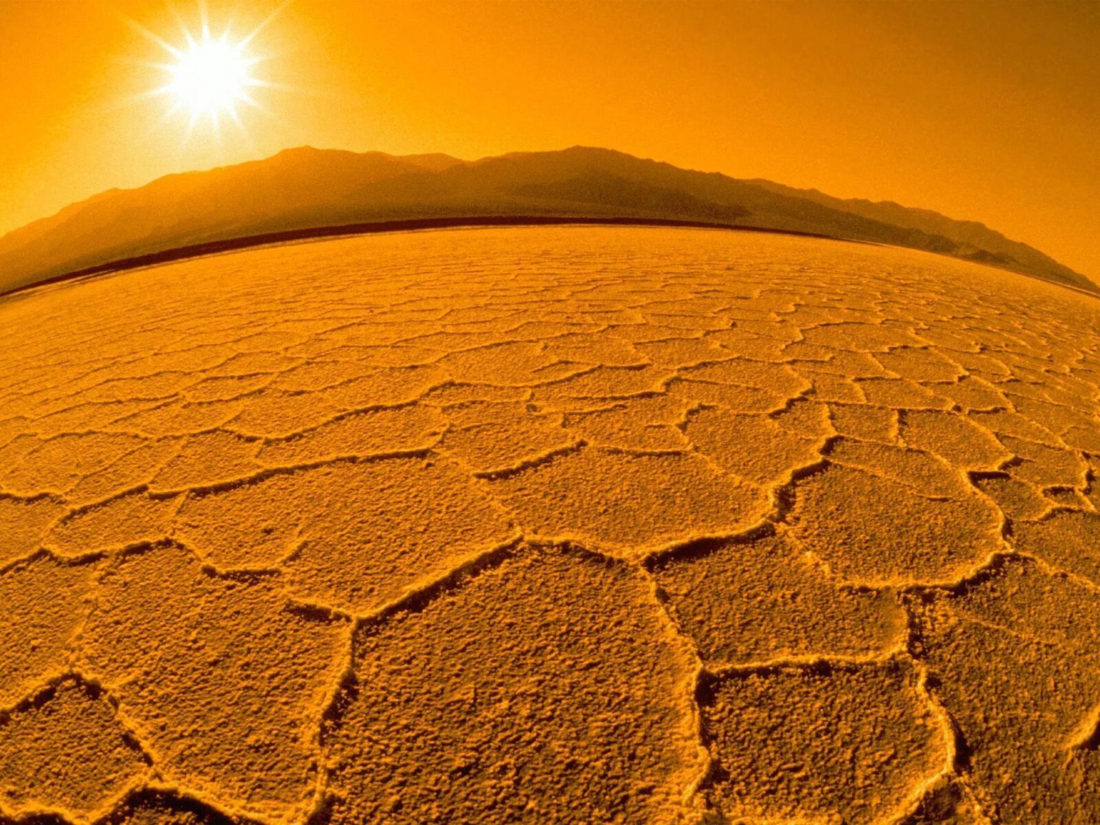 Новая жизнь жара песков. Солнце в пустыне. Жара в пустыне. Раскаленная пустыня. Пустыня под солнцем.