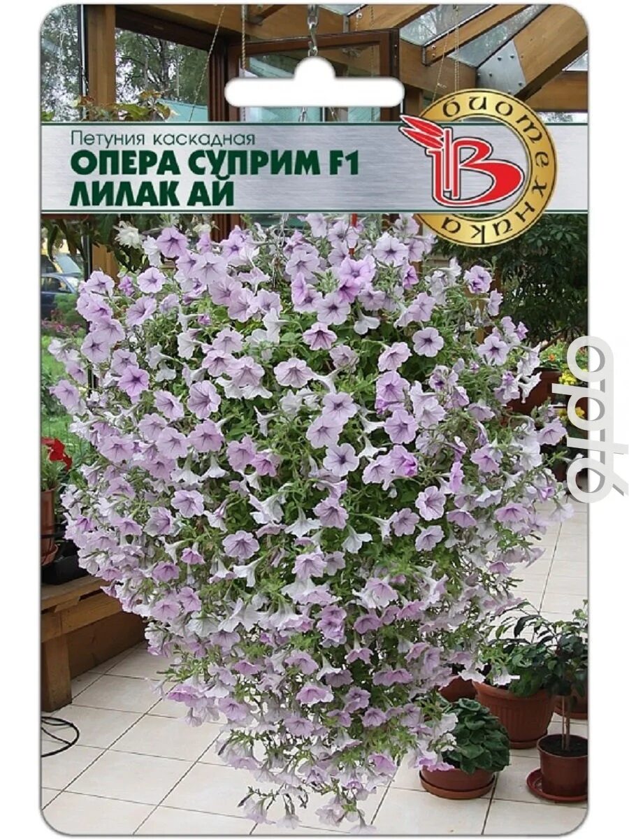Петуния опера суприм ред. Петуния опера суприм f1. Петуния опера распберри айс. Петуния опера суприм f1. Петуния ампельная опера лилак айс.