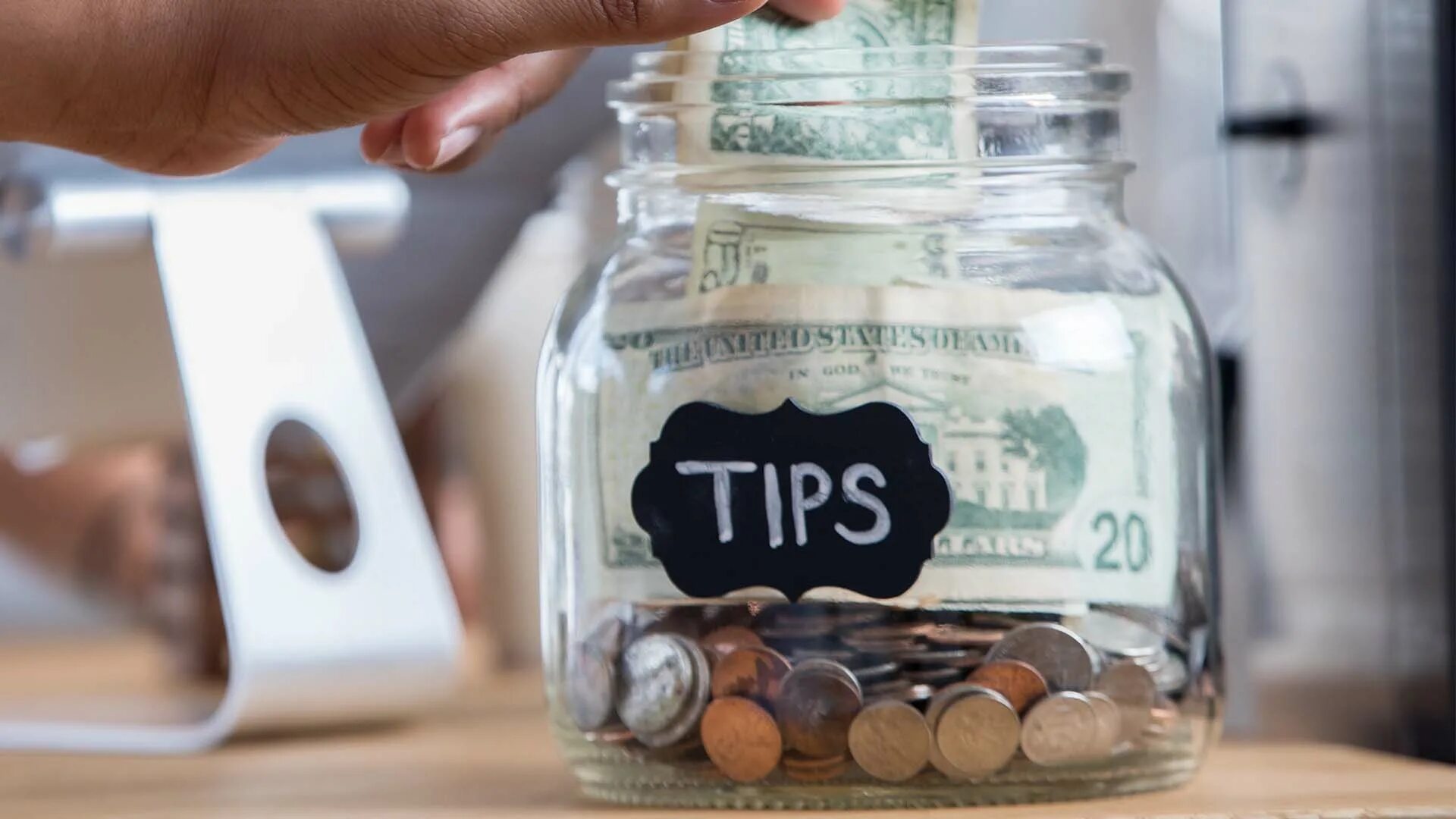 Tip photo. Tip photo